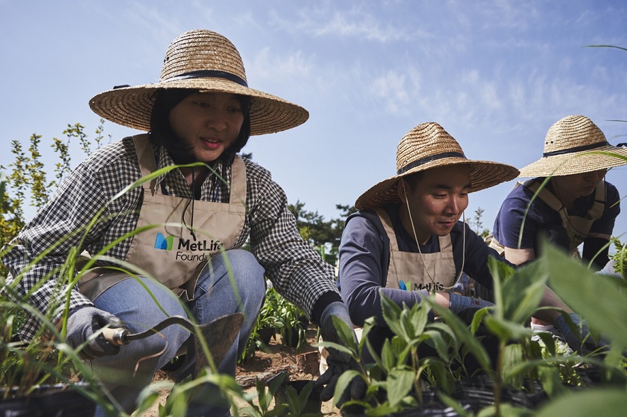 메트라이프생명, 임직원 1인당 봉사 시간 생명보험 업계 1위