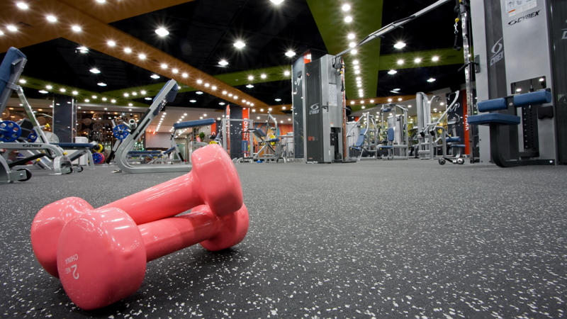 바빠도 내 관심사는 클릭!