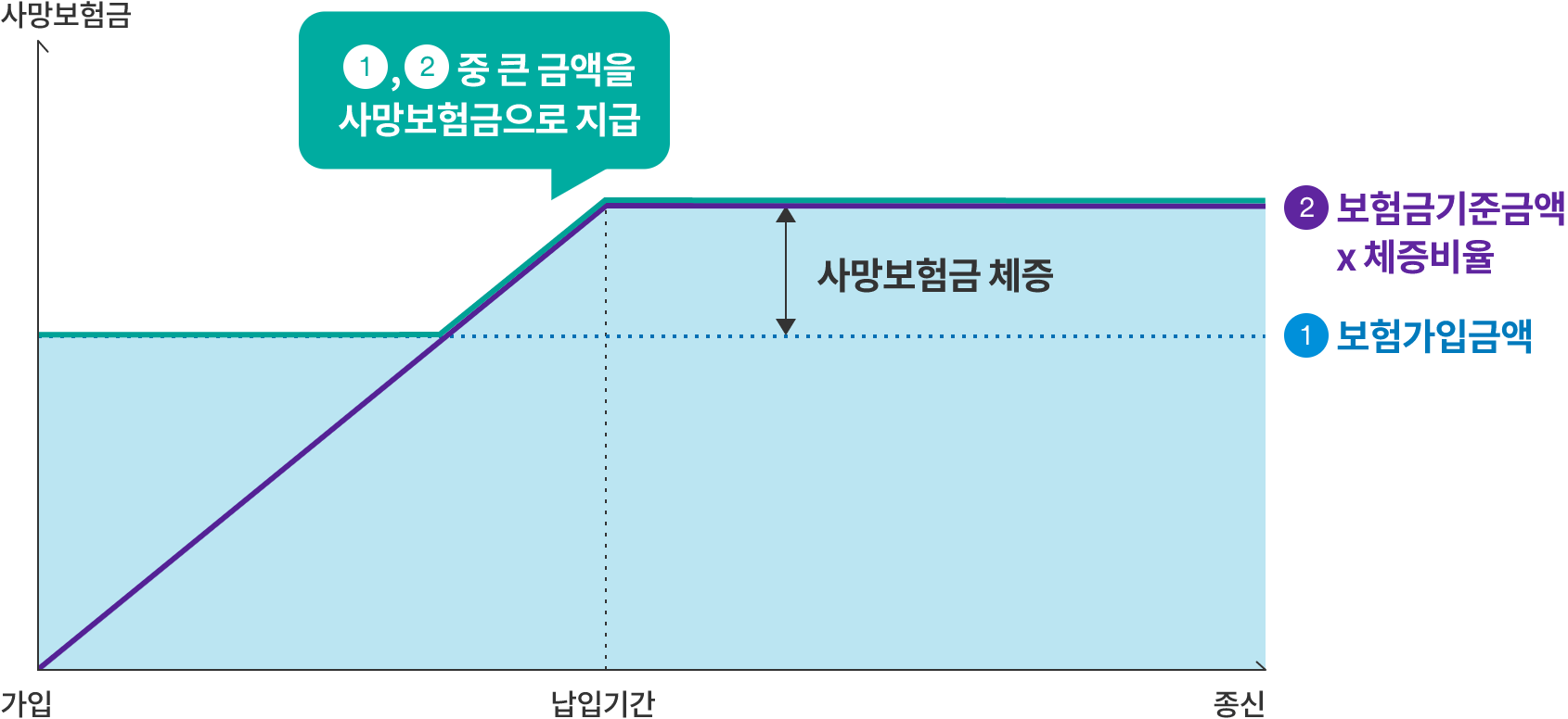 일반가입형 보장내용