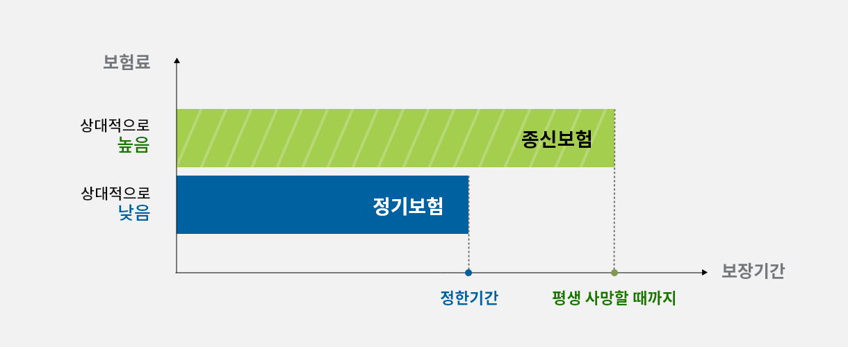 정기보험과종신보험의차이점